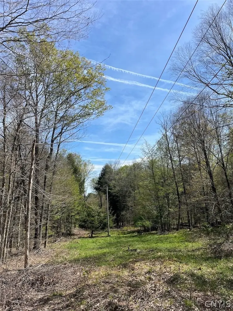 106 Road, Alma, NY 14708 - #2