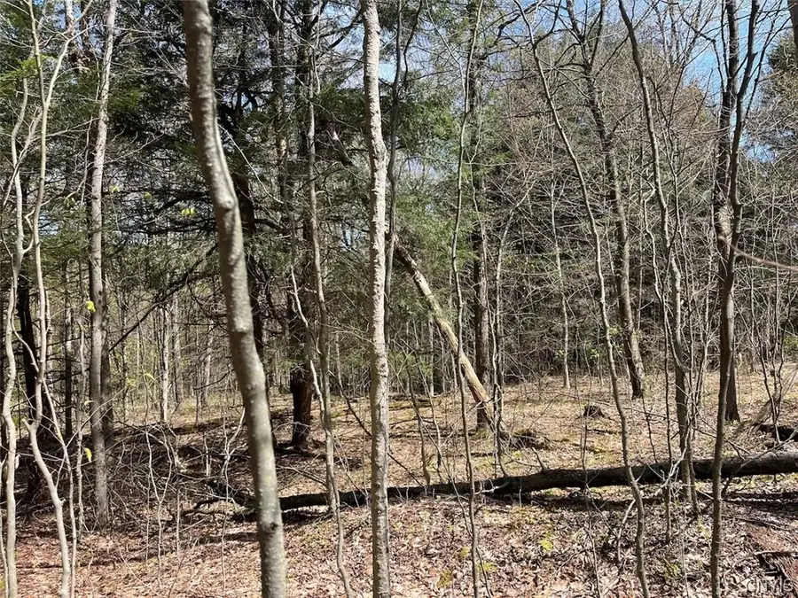 106 Road, Alma, NY 14708 - #3