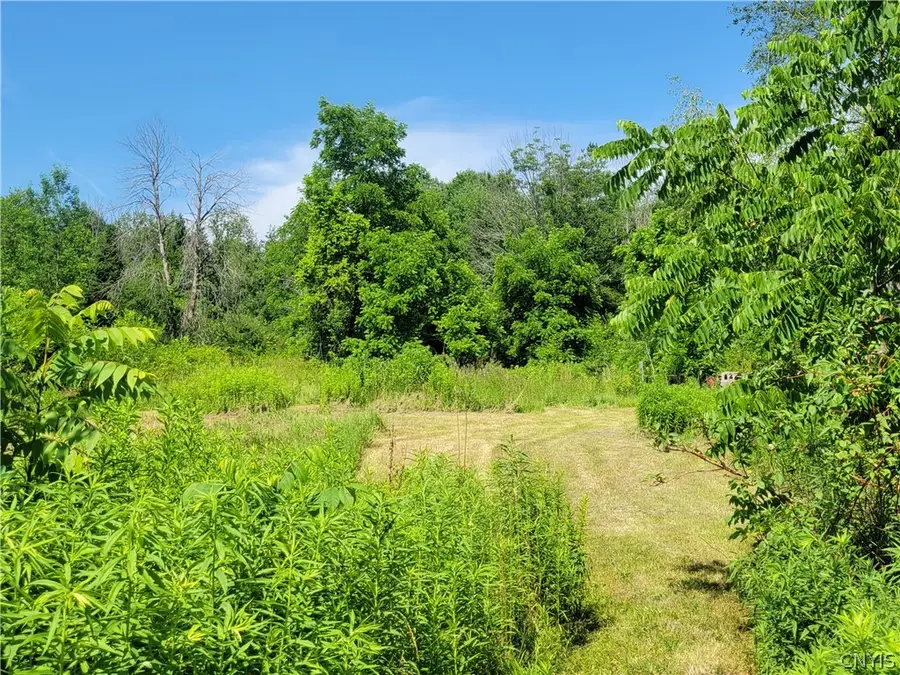 8961 Dinglehole Road, Baldwinsville, NY 13027 - #3