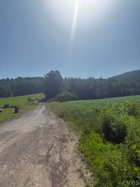 Wothe Freeman Road, Deruyter, NY 13052 - #3