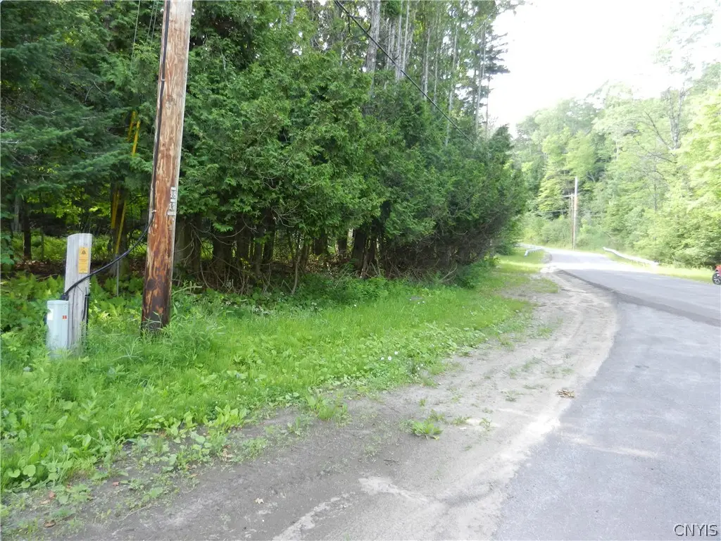00 Bingham Mills Rd, Salisbury, NY 13470 - #1
