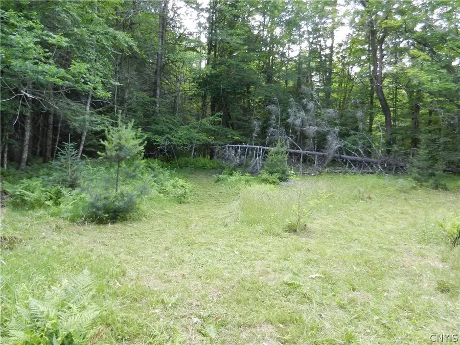 00 Bingham Mills Rd, Salisbury, NY 13470 - #3