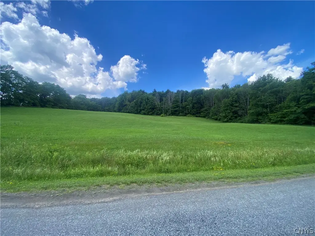 Holmesville Road, South New Berlin, NY 13843 - #1