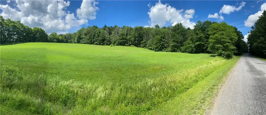 Holmesville Road, South New Berlin, NY 13843 - #2