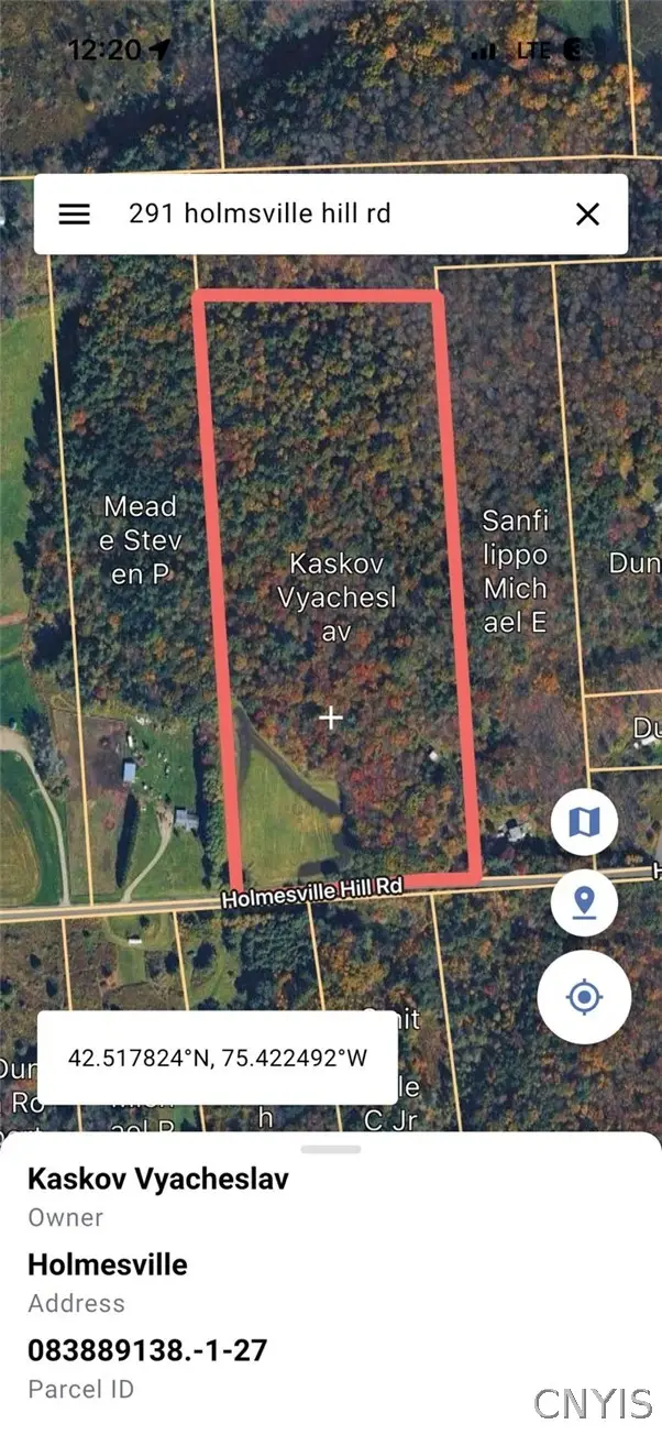 Holmesville Road, South New Berlin, NY 13843 - #3