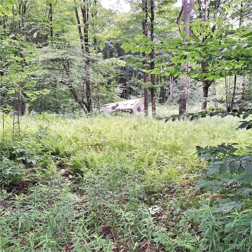 Cassio Road, Redfield, NY 13493 - #1