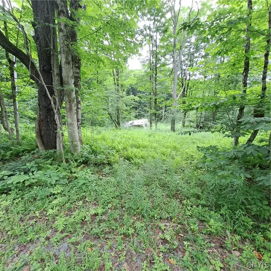 Cassio Road, Redfield, NY 13493 - #3