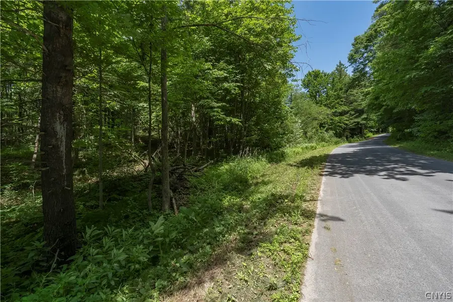 Split Rock Road, Hammond, NY 13646 - #2