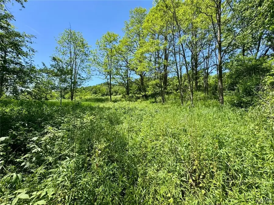 Route 26, Cincinnatus, NY 13040 - #3