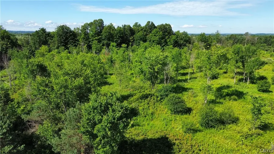 Rockbrook Road, Evans Mills, NY 13637 - #2