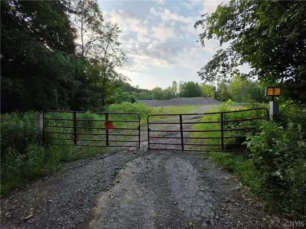 Osceola Road, Lewis, NY 13489
