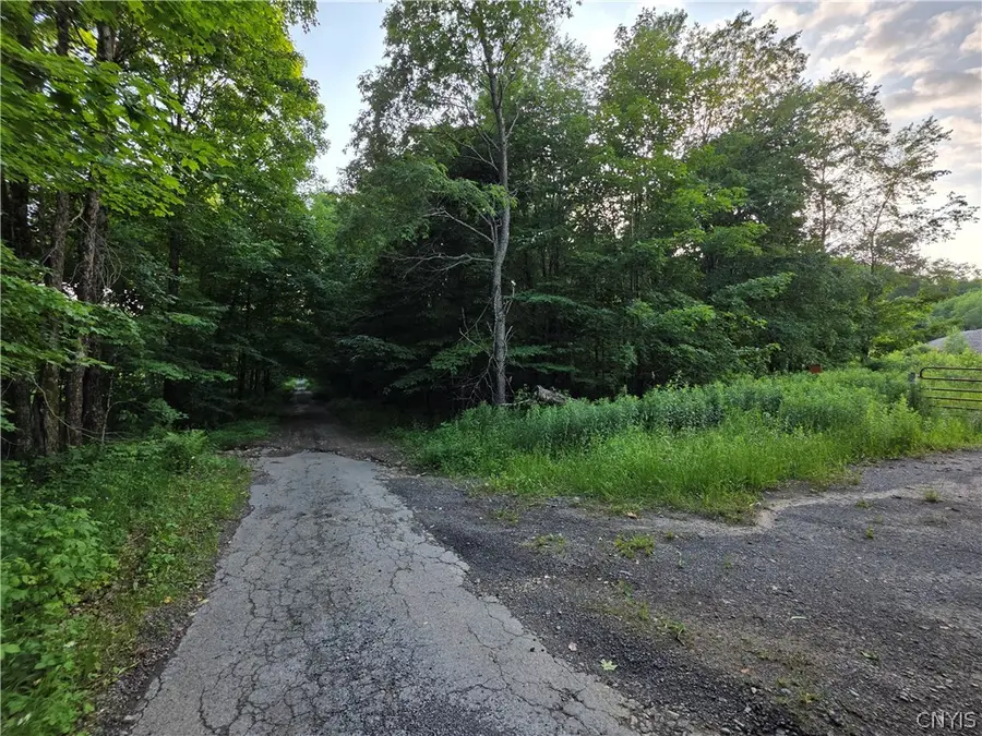 0 Osceola Road, Lewis, NY 13489 - #3