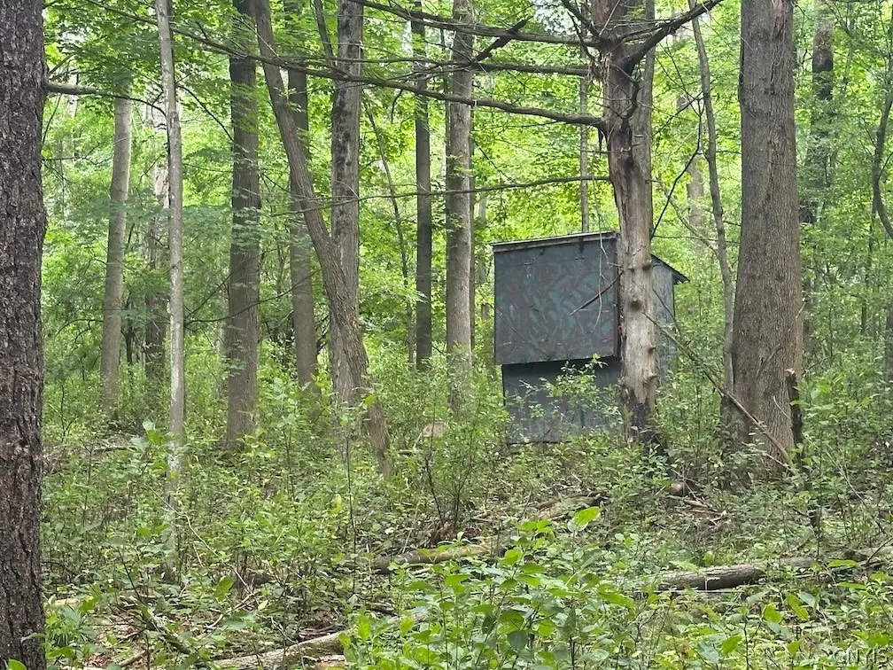 Flat Iron Road, Hunt, NY 14846 - #1