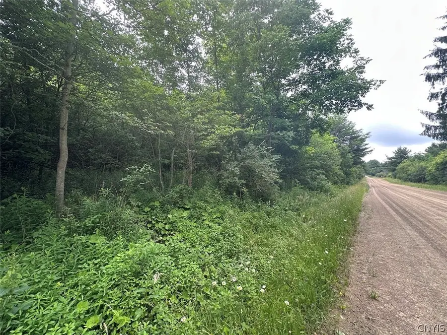 Flat Iron Road, Hunt, NY 14846 - #2