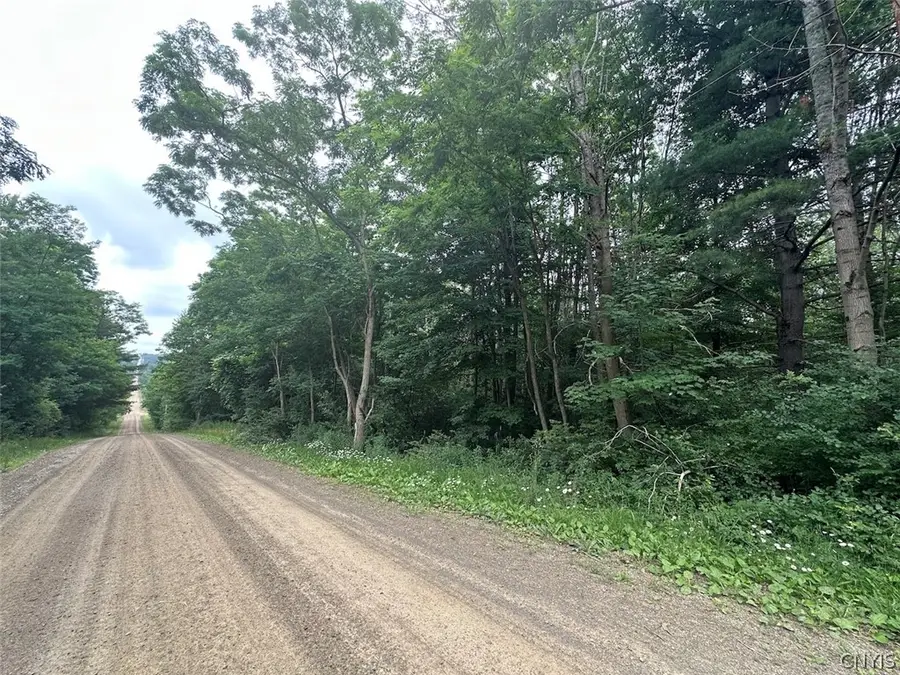 Flat Iron Road, Hunt, NY 14846 - #3