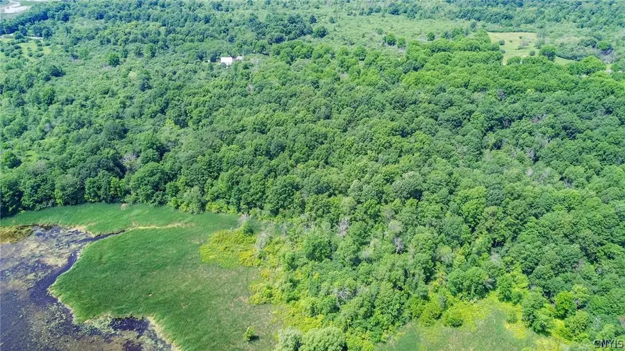 Middle Road, Brownville, NY 13615 - #3