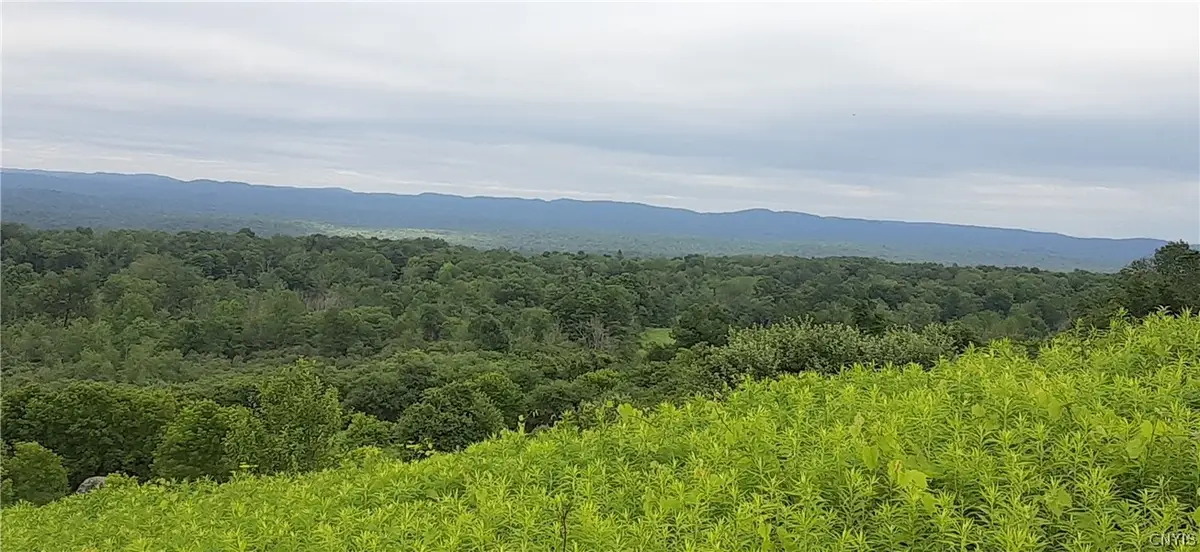 271 Snyder Road, Newport, NY 13416 - #1