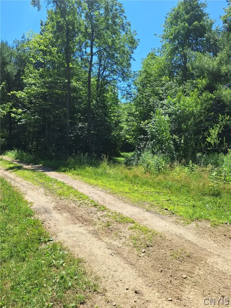 6 Streiff Road, Ava, NY 13303 - #1