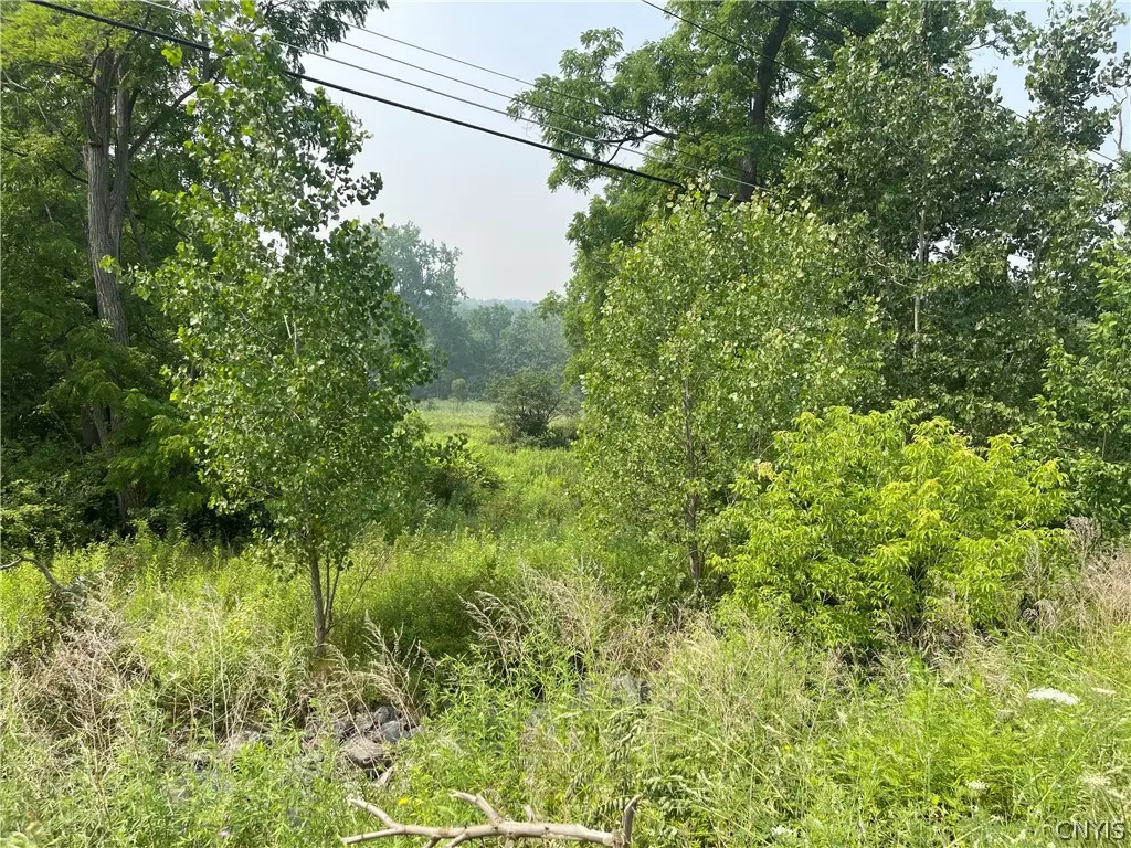 9488 Rt-90, Genoa, NY 13071 - #1