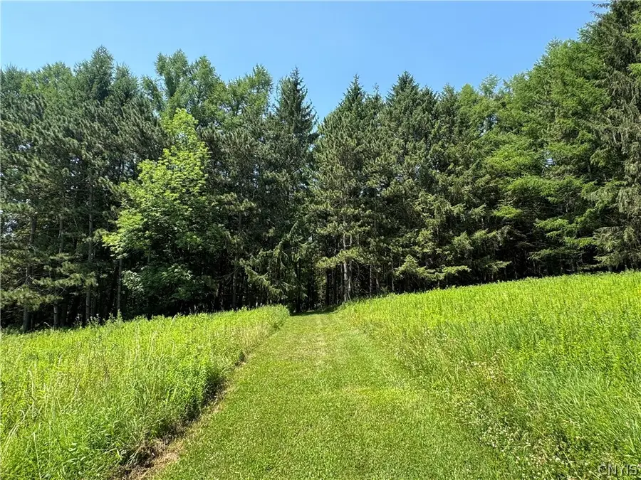 2 Bonney Hill Rd Road, Hamilton, NY 13346 - #3