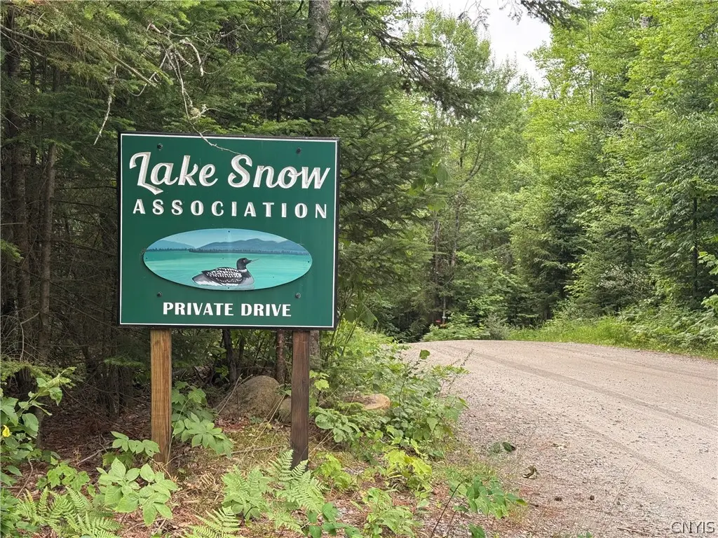 L@# Lake Snow Road, Indian Lake, NY 12842 - #1