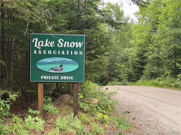 L@# Lake Snow Road, Indian Lake, NY 12842