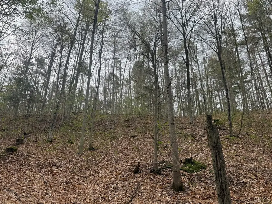 Town Line Road, Lyons Falls, NY 13368 - #3