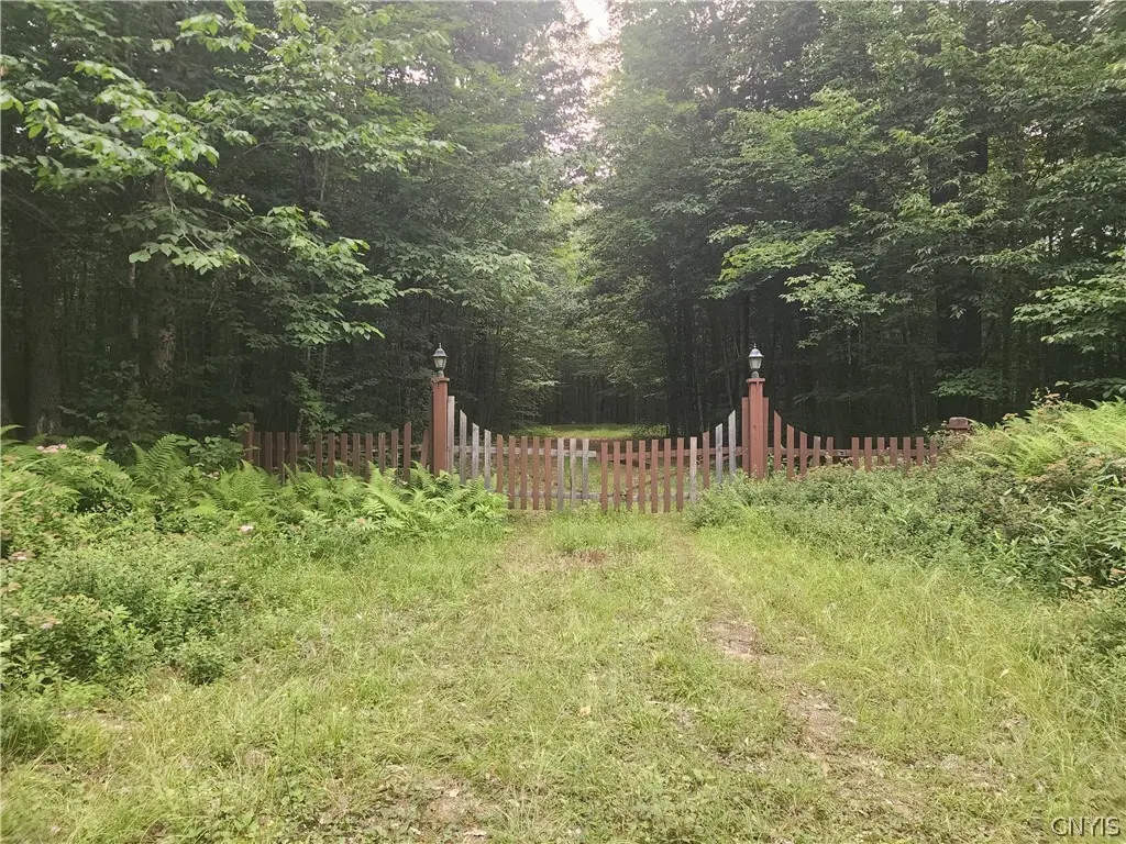 Soft Maple Road, Croghan, NY 13327 - #1