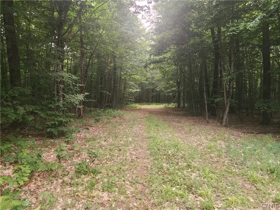 Soft Maple Road, Croghan, NY 13327 - #2