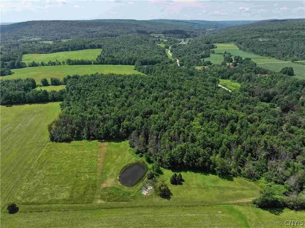 Cr-17, Belfast, NY 14711