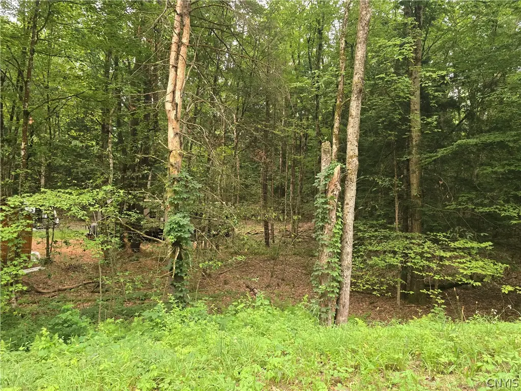 8376 Dixon Road, Camden, NY 13316 - #1