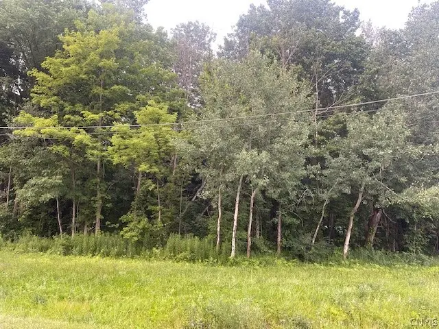 Chase Road, Fulton, NY 13069 - #2