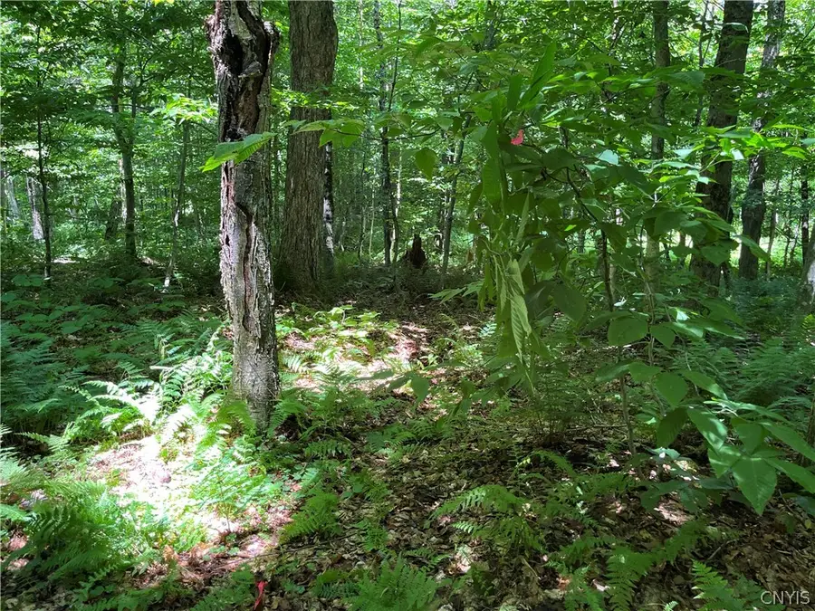 E Of Town Line Road, Lorraine, NY 13659 - #3