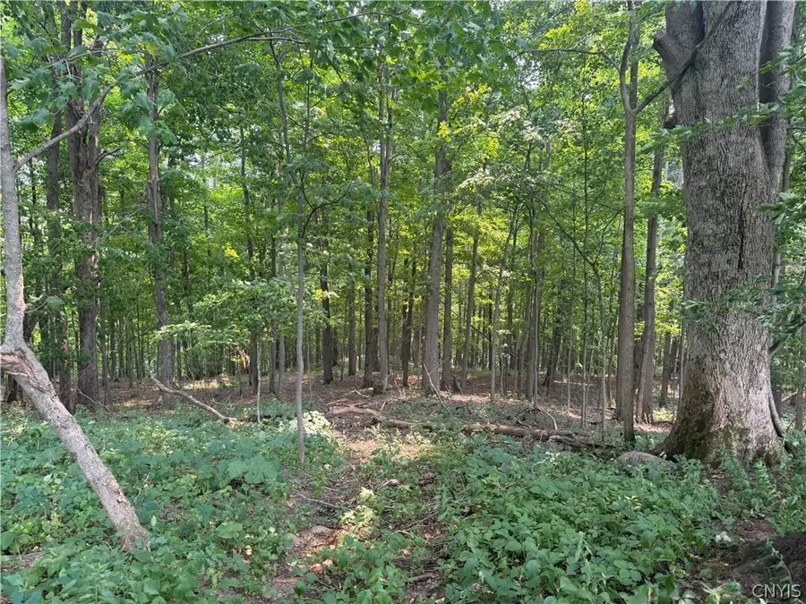 Whiskey Lane, Turin, NY 13473 - #3