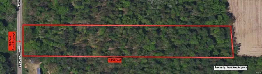 Cr-17, Belfast, NY 14711 - #2