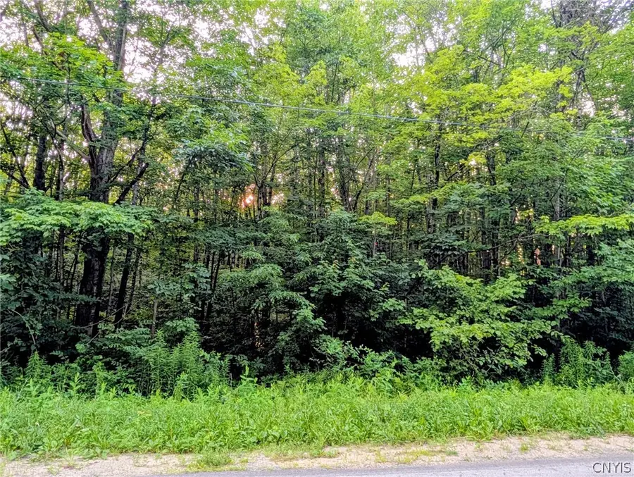 0 Co Rt 28, Pulaski, NY 13142 - #3
