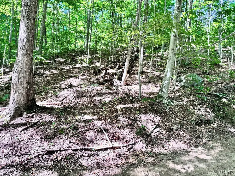 Oneida Road, Old Forge, NY 13420 - #2