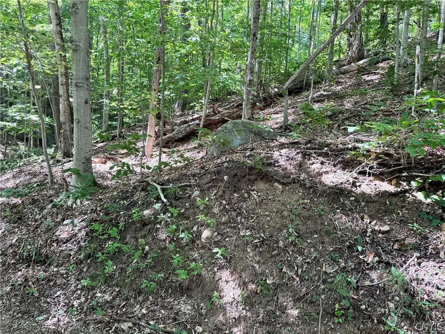 Oneida Road, Old Forge, NY 13420 - #3