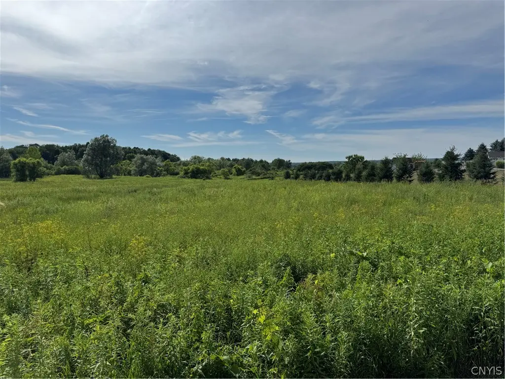 Ives Road, Marcy, NY 13403 - #1