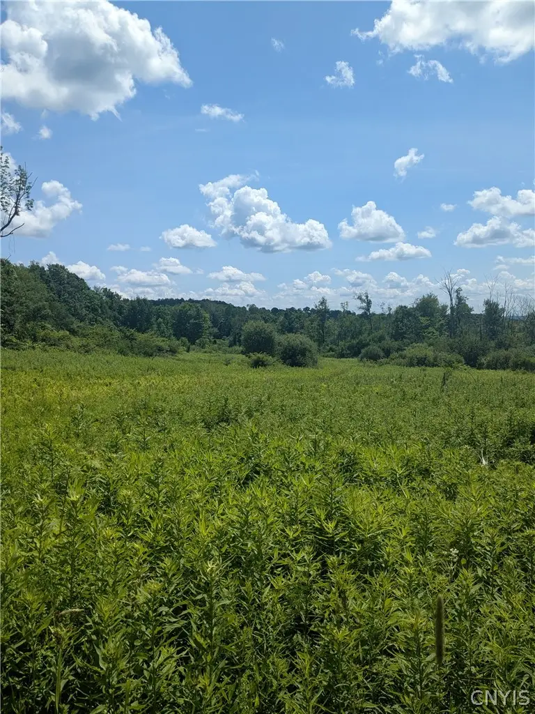 00 Sulphur Springs Rd Road, Cold Brook, NY 13324 - #1