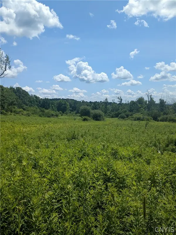 00 Sulphur Springs Rd Road, Cold Brook, NY 13324