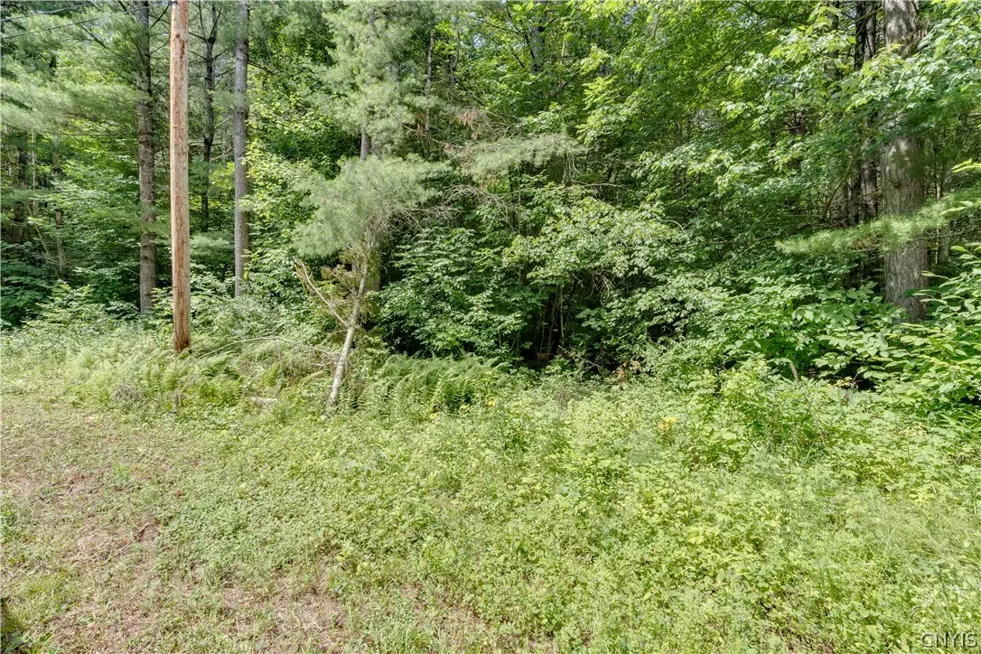 Stone Road, Harrisville, NY 13648 - #1