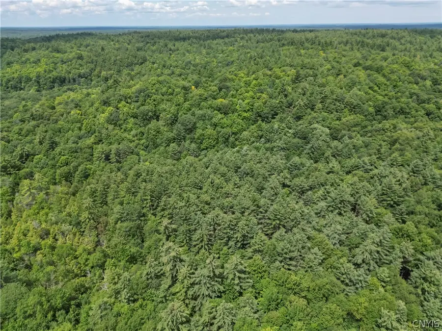 Stone Road, Harrisville, NY 13648 - #3