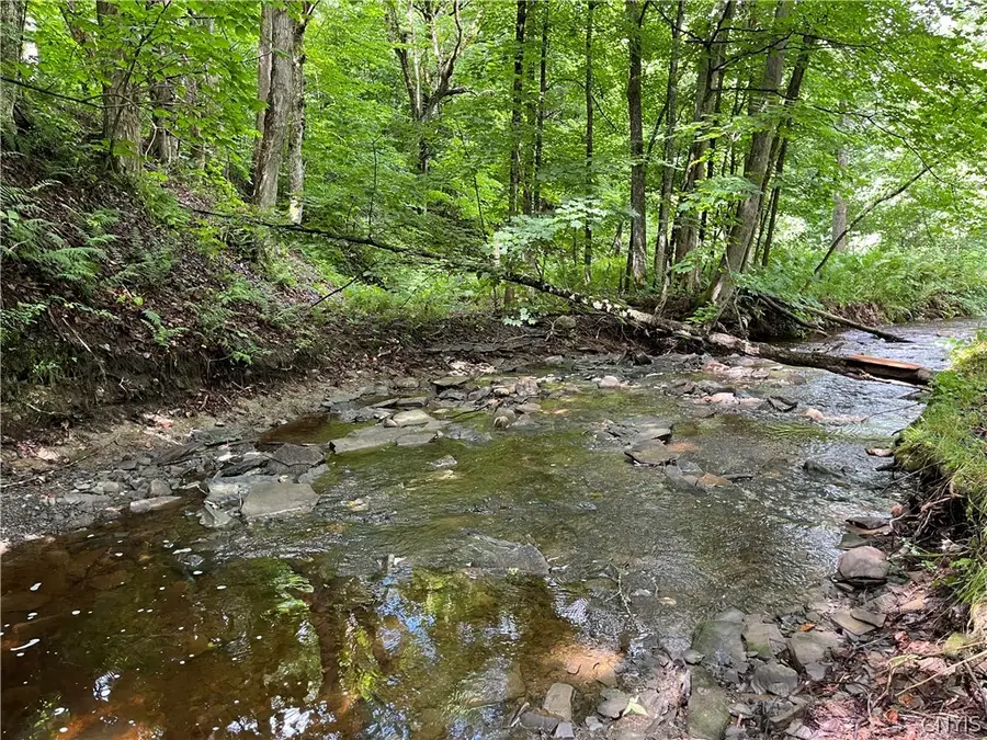 9657 Gardner Road, Copenhagen, NY 13626 - #2