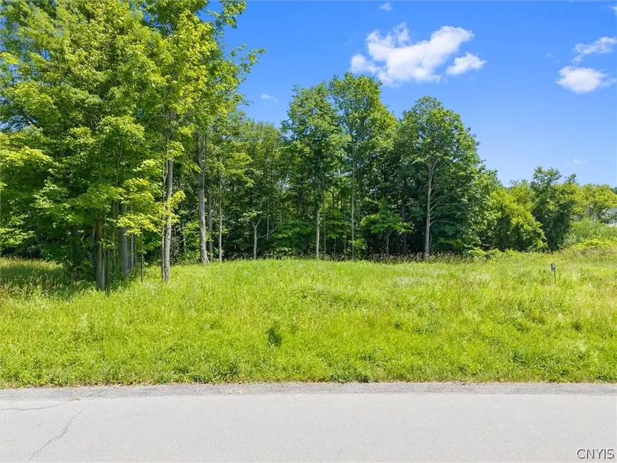 7103 Kittiwake Run, Manlius, NY 13104 - #3