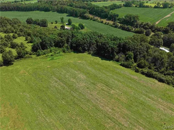 Cr-17, Belfast, NY 14711