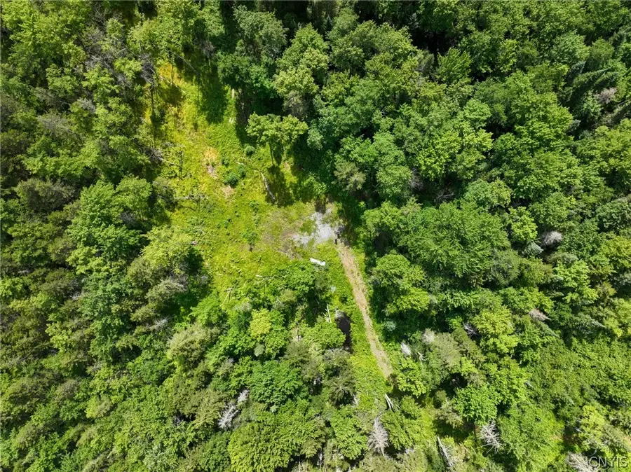 Kirkland Road, Forestport, NY 13338 - #2