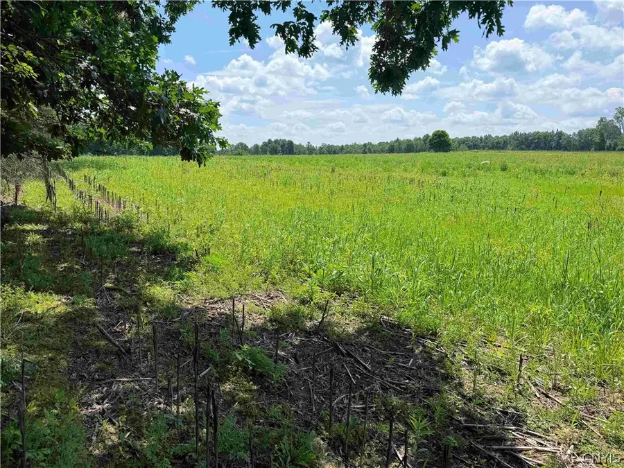 Cr-17, Belfast, NY 14711 - #3