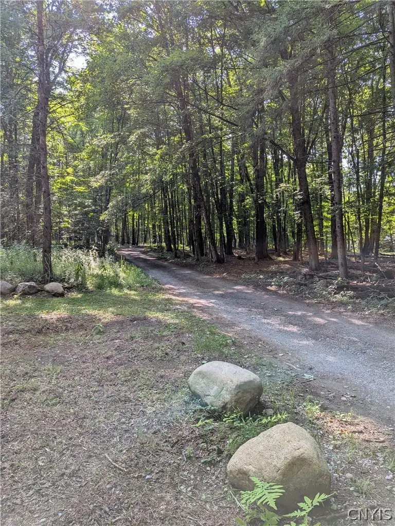 11224 Countryman Road, Remsen, NY 13438 - #2