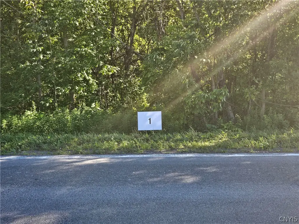 Lot 1 Rt 58, Mexico, NY 13114 - #1